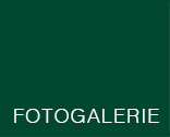 FOTOGALERIE